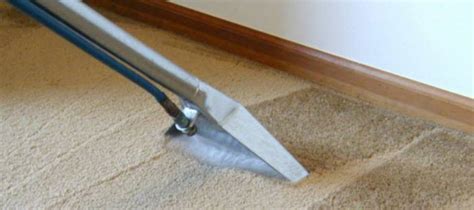 Should You Shampoo Carpets? - Southington Carpet Cleaners