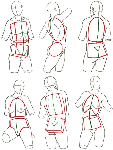 Shapes of anatomy | Figure drawing tutorial, Human figure drawing ...