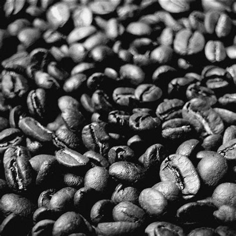 Home roasted coffee | Chopin Boutique B&B