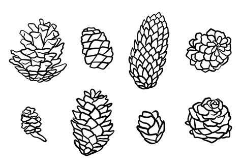 Download Free Pine Cones Vector Icons Vector Art. Choose from over a million free vectors ...