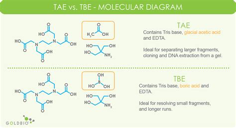 Tbe Page Gel Recipe | Bryont Blog