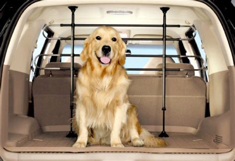 Dog-Proof Your Vehicle: 3 Simple Ways To Keep Your Pup Safe