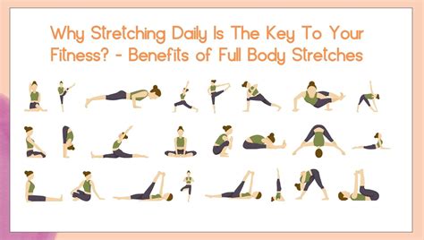 daily full body stretching benefits Archives - Himalayan Yoga Association (Yoga Ashram)