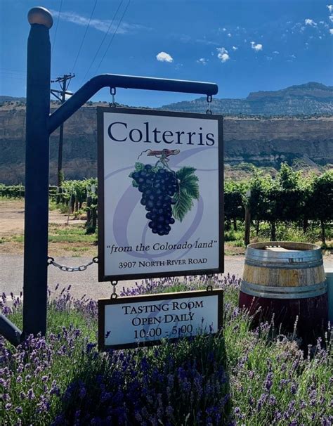 8 Palisade Wineries to Uncork - The Best Wineries in Palisade CO