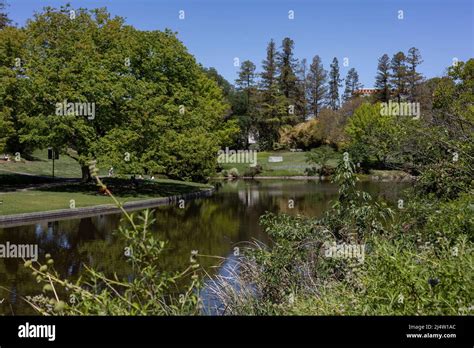 UC Davis Arboretum Stock Photo - Alamy