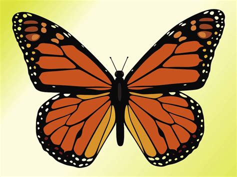 Monarch Butterfly Vector Art & Graphics | freevector.com