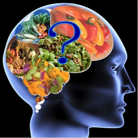 Try These Foods To Boost Cognitive Function As You Age • T E S T O S T E R O N E J U N K I E