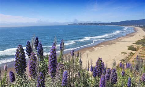 Stinson Beach in Stinson Beach, CA - California Beaches