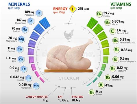 Vitamins and minerals of raw chicken vector illustration | Chicken nutrition facts, Benefits of ...