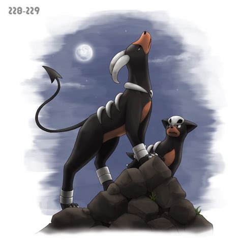 Houndour Houndoom | Pokemon