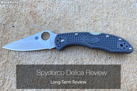 Spyderco Delica Review (2023) Don't Buy Before Reading This!