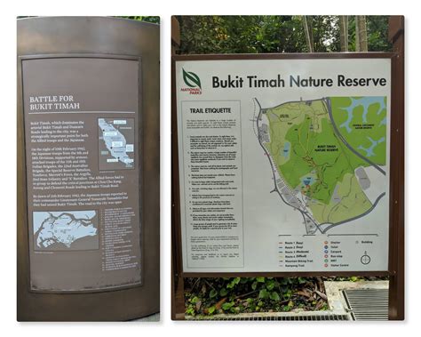 Bukit Timah Nature Reserve, Singapore