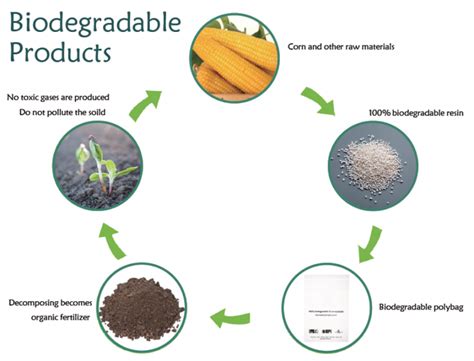 Biodegradable series - Packing Your Brand