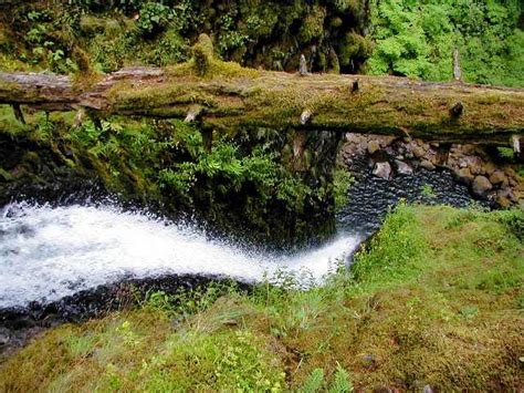 Ponytail Falls (Top) - Hiking in Portland, Oregon and Washington