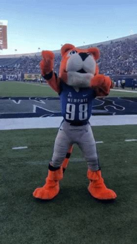 Memphis Tigers GIF - Memphis Tigers Mascot - Discover & Share GIFs