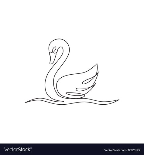 Swan Drawing