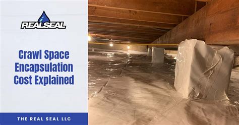 Crawl Space Encapsulation Cost Explained | The Real Seal LLC