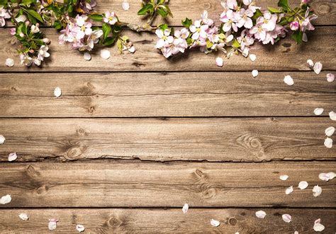 Rustic Wedding Flowers Brown Wood Floor Backdrops Spring Baby | Pink flowers background, Rustic ...