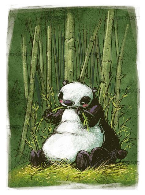 Oso panda comiendo bambú - Dibustock, Ilustraciones infantiles de Stock