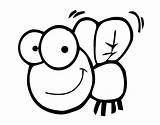 Desenhos De mosca Para colorir E Pintar sketch template