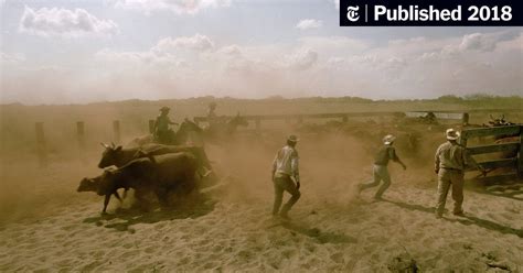 An Unconventional History of Texas, From a Writer With the State in His ...