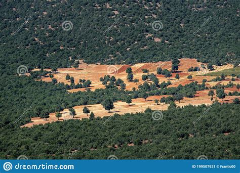 Aerial View of Arable Land Ready for Sowing Stock Image - Image of ...