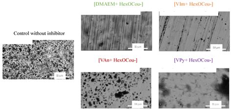 Polymers | Free Full-Text | Cation Effect in the Corrosion Inhibition ...