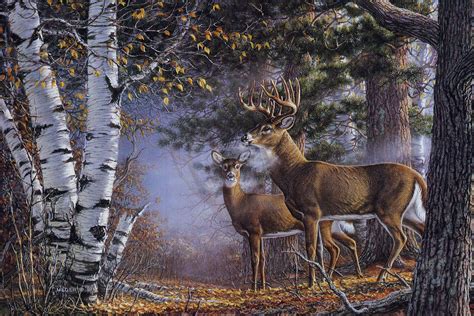 white tailed deer | Wildlife art, Deer painting, Wildlife paintings