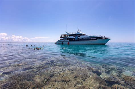 prices great barrier reef tours