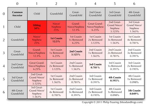 Perceptions of Relationship - B&F: Jewish Genealogy and More