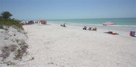 Clearwater Natural Attractions Welcome Everyone to See Wildlife