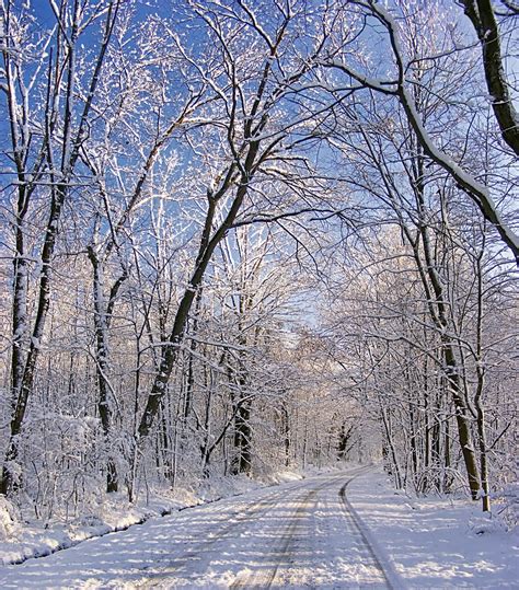 Free Images : tree, snow, winter, car, frost, driving, ice, evergreen, weather, season, freezing ...