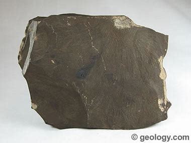 Shale: Sedimentary Rock - Pictures, Definition & More