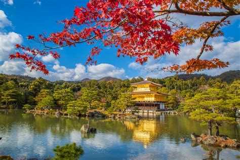 Kyoto Uncovered: A Traveler's Guide to the Top Attractions and Hidden Gems