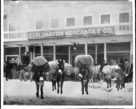 Miner's pack animals in front of mining supply stores, Gol… | Flickr