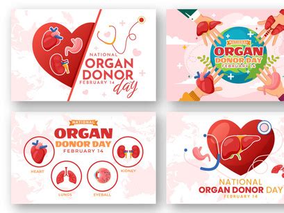 12 National Organ Donor Day Illustration by denayuneep ~ EpicPxls