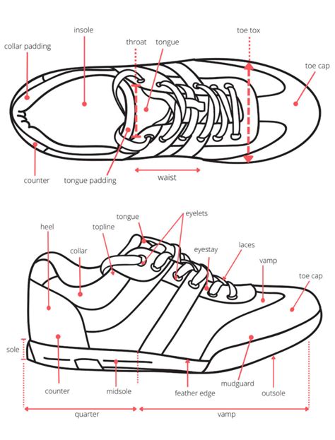 The Untold Secret To WHAT IS BOTTOM OF SHOE CALLED?