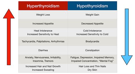 An Overview of Thyroid Hormone Function — Six Foot Science