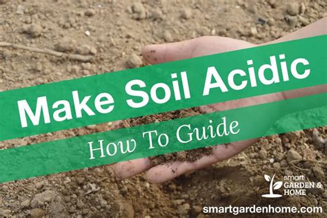 7 Ways For How To Make Soil Acidic - Smart Garden And Home