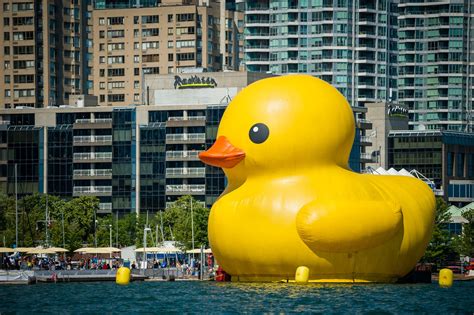 What the world's biggest rubber duck looks like up close