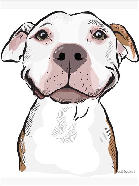 Smiling white pitbull terrier in 2021 | Dog design art, Cartoon dog drawing, Pitbull art