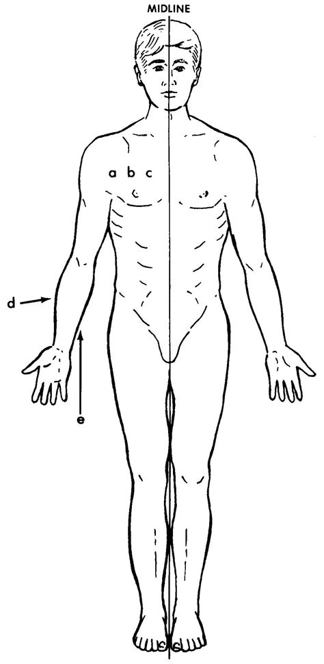 Anatomical Position Of The Body - Anatomy Human Physiology General Anatomical Terms Teas ...