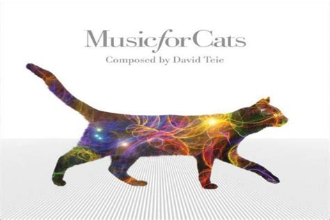 Music for Cats album set for release through Universal Music | Hotpress