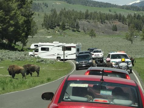 Yellowstone RV Camping | RV Camping