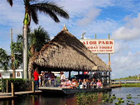 Gator Park, Miami - Setarra