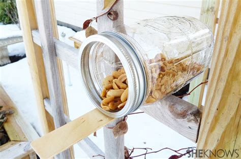 DIY squirrel feeders 6 ideas