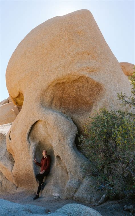 Hiking Skull Rock Trail At Joshua Tree National Park | Fun Life Crisis ...