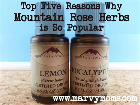 Top Five Reasons Why Mountain Rose Herbs is So Popular - Marvy Moms