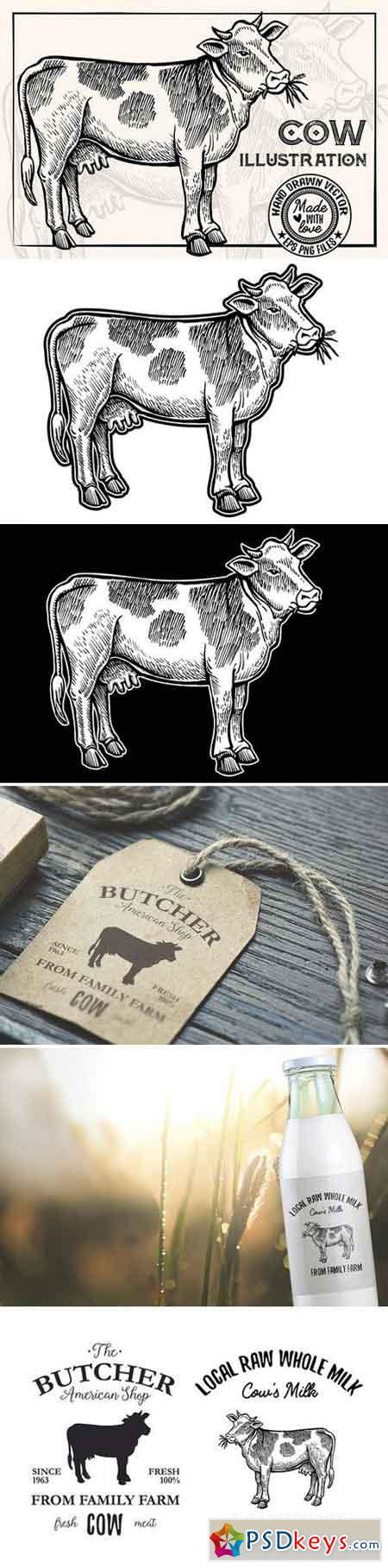 Cow Vintage Illustration 1910176 » Free Download Photoshop Vector Stock ...