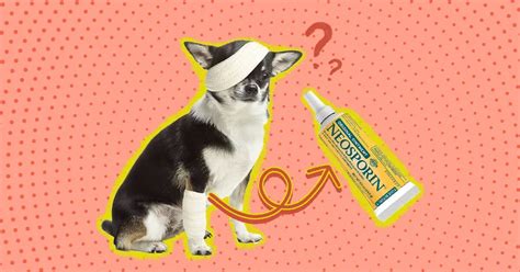 Is Neosporin safe for dogs?